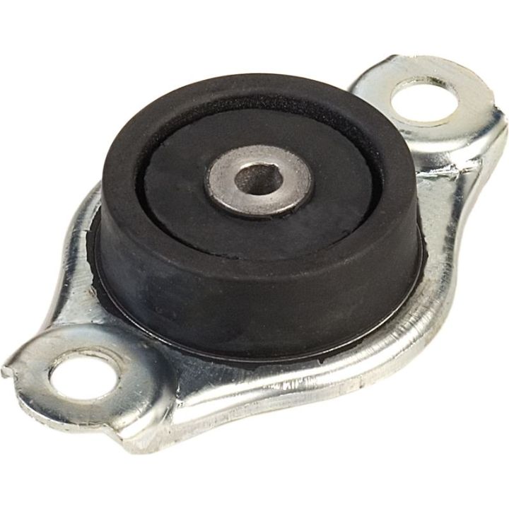 Variklio montavimas RAPRO R52166