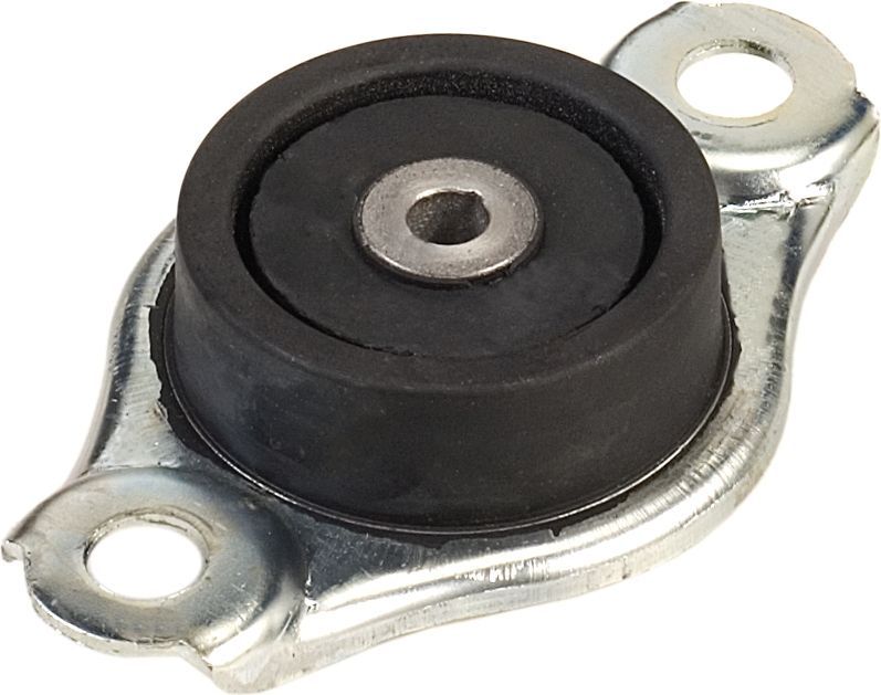 Variklio montavimas RAPRO R52166