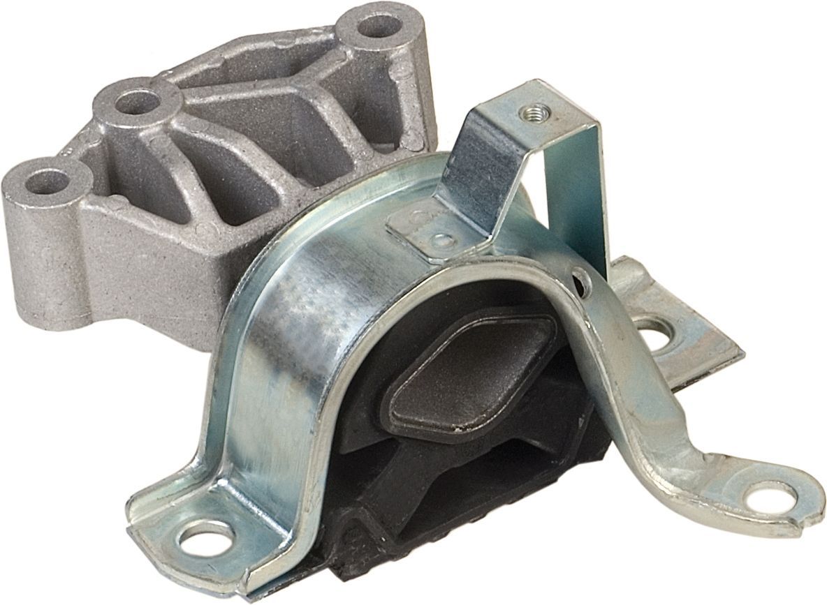 Variklio montavimas RAPRO R52168