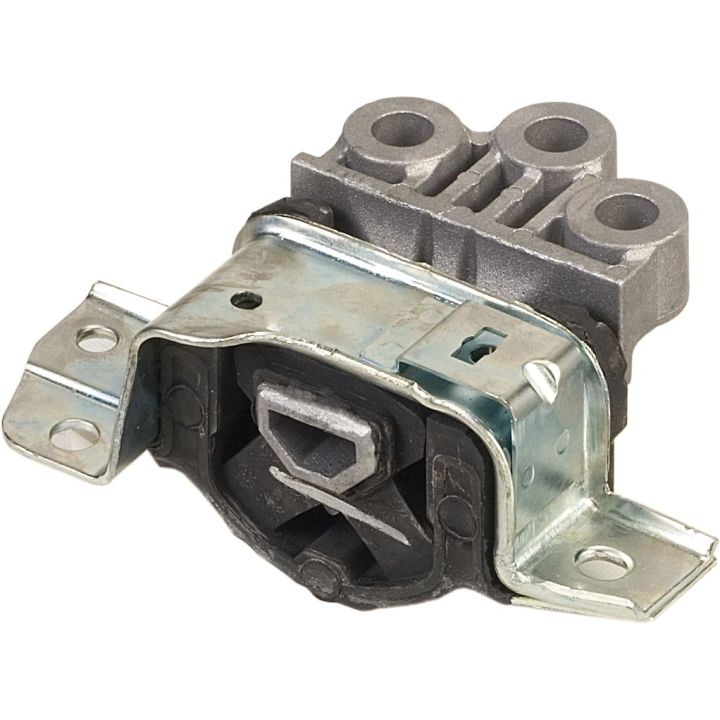 Variklio montavimas RAPRO R52184