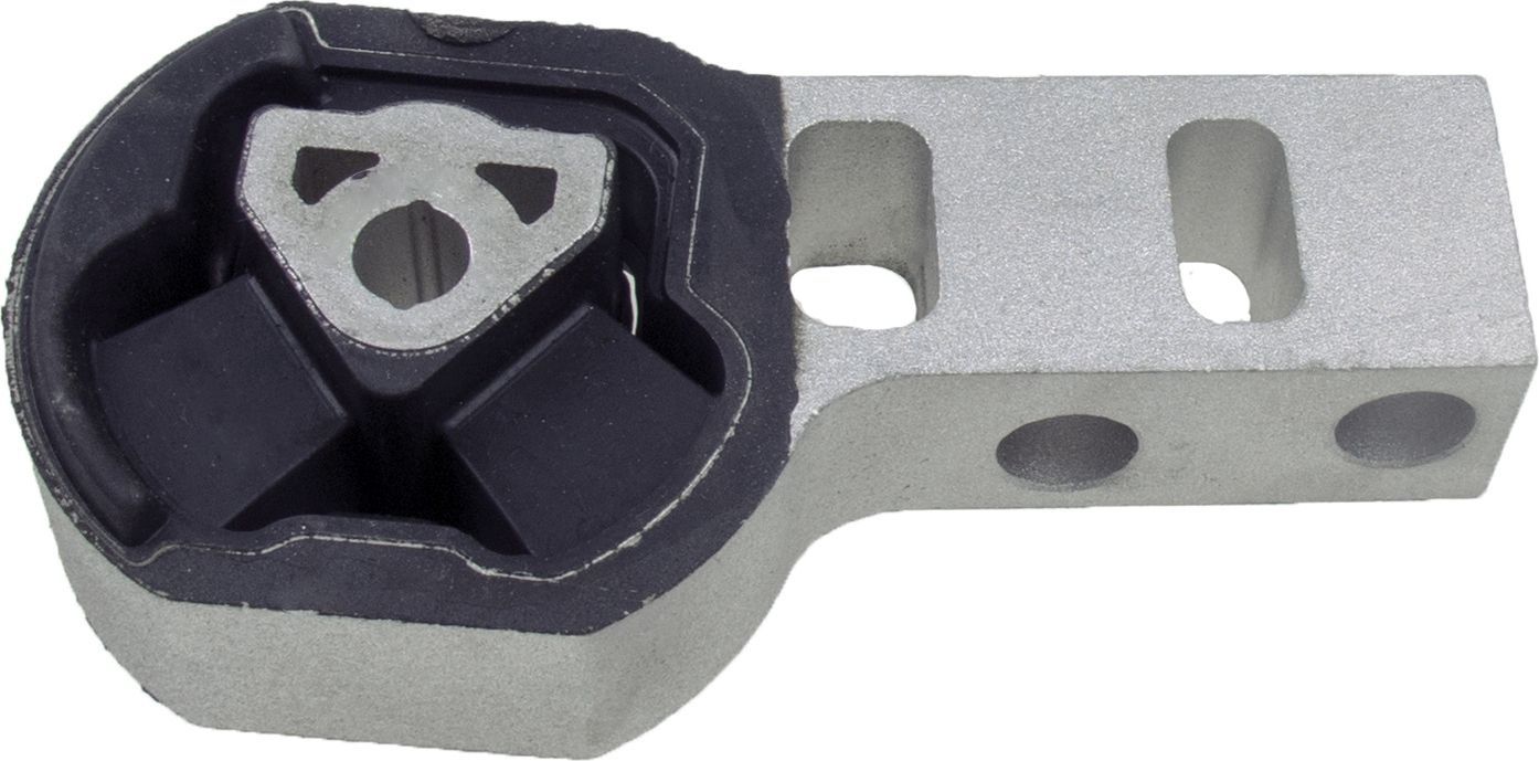 Variklio montavimas RAPRO R52235