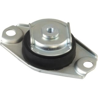 Variklio montavimas RAPRO R52250