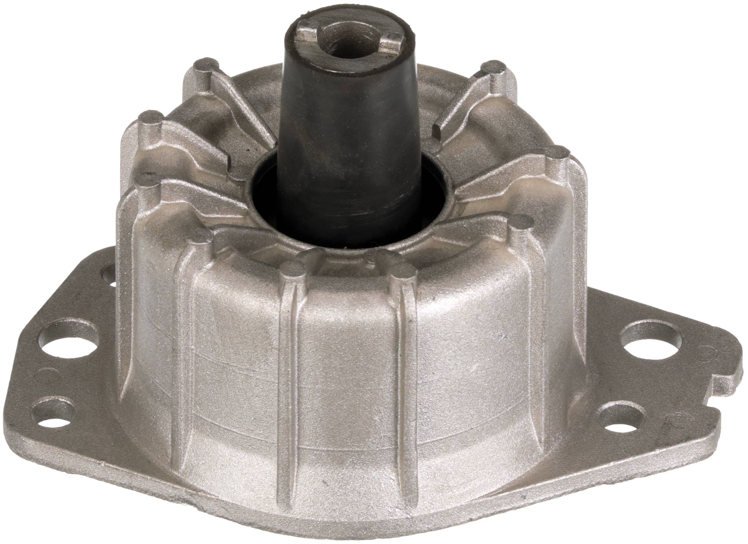 Variklio montavimas RAPRO R52251