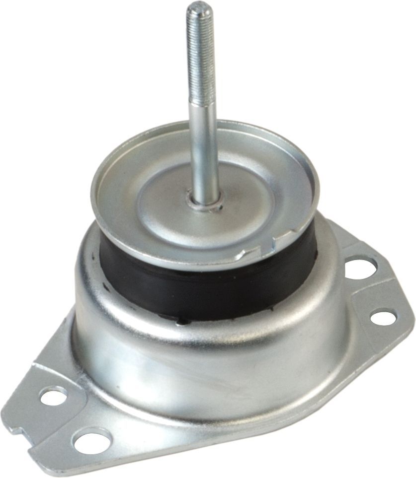 Variklio montavimas RAPRO R52253