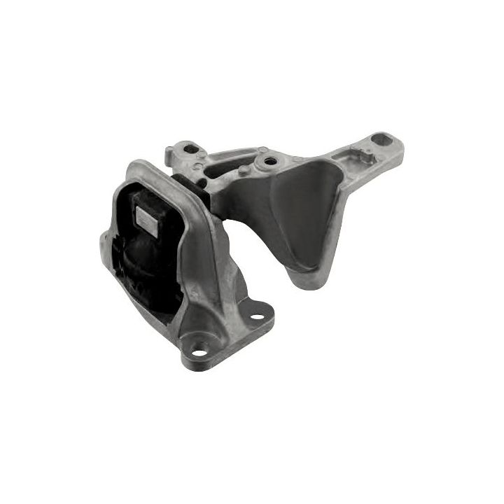 Variklio montavimas RAPRO R52258