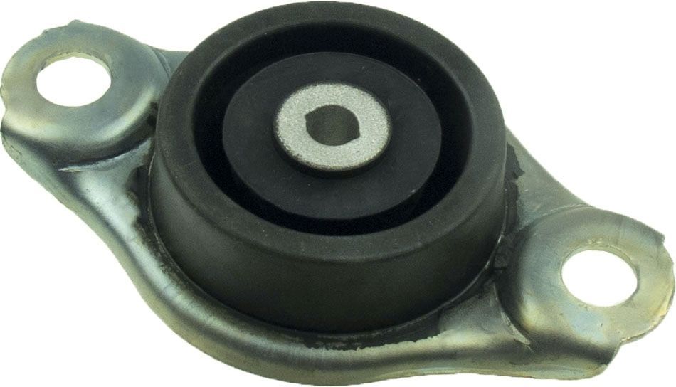 Variklio montavimas RAPRO R52272/O