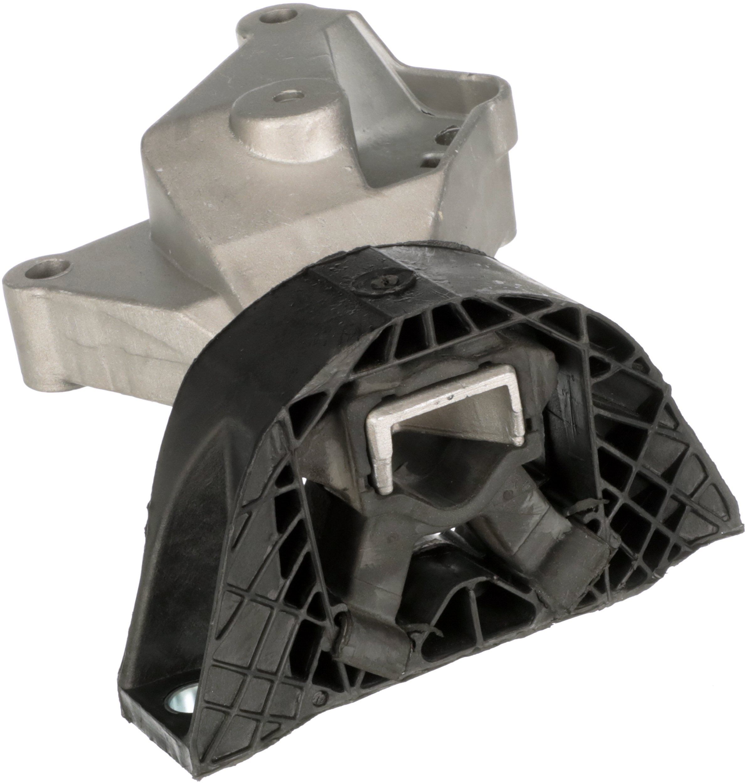 Variklio montavimas RAPRO R52578