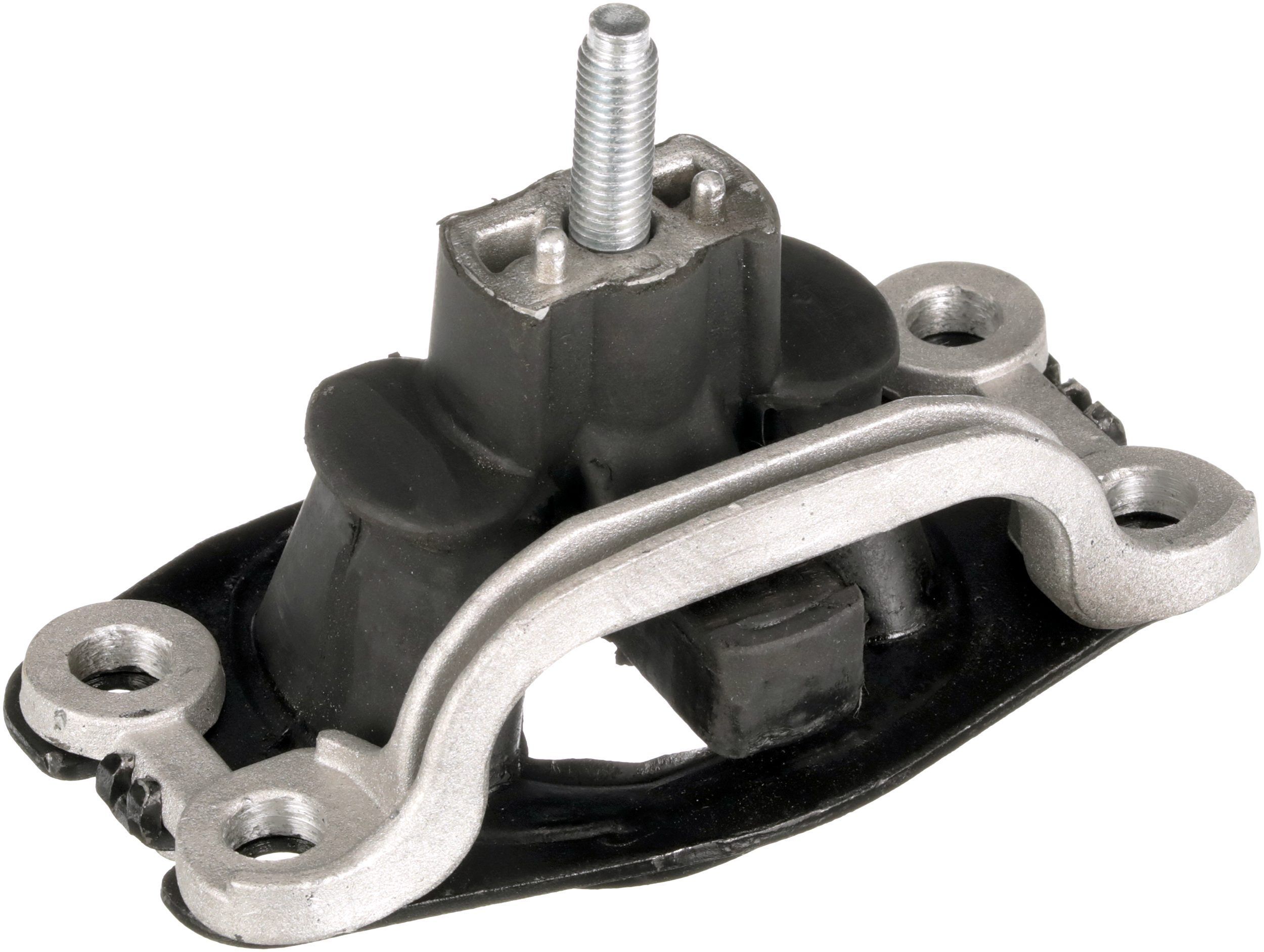 Variklio montavimas RAPRO R52580