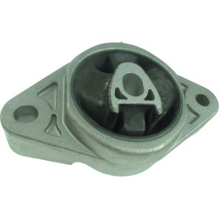 Variklio montavimas RAPRO R53165