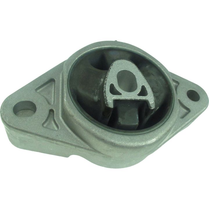 Variklio montavimas RAPRO R53165