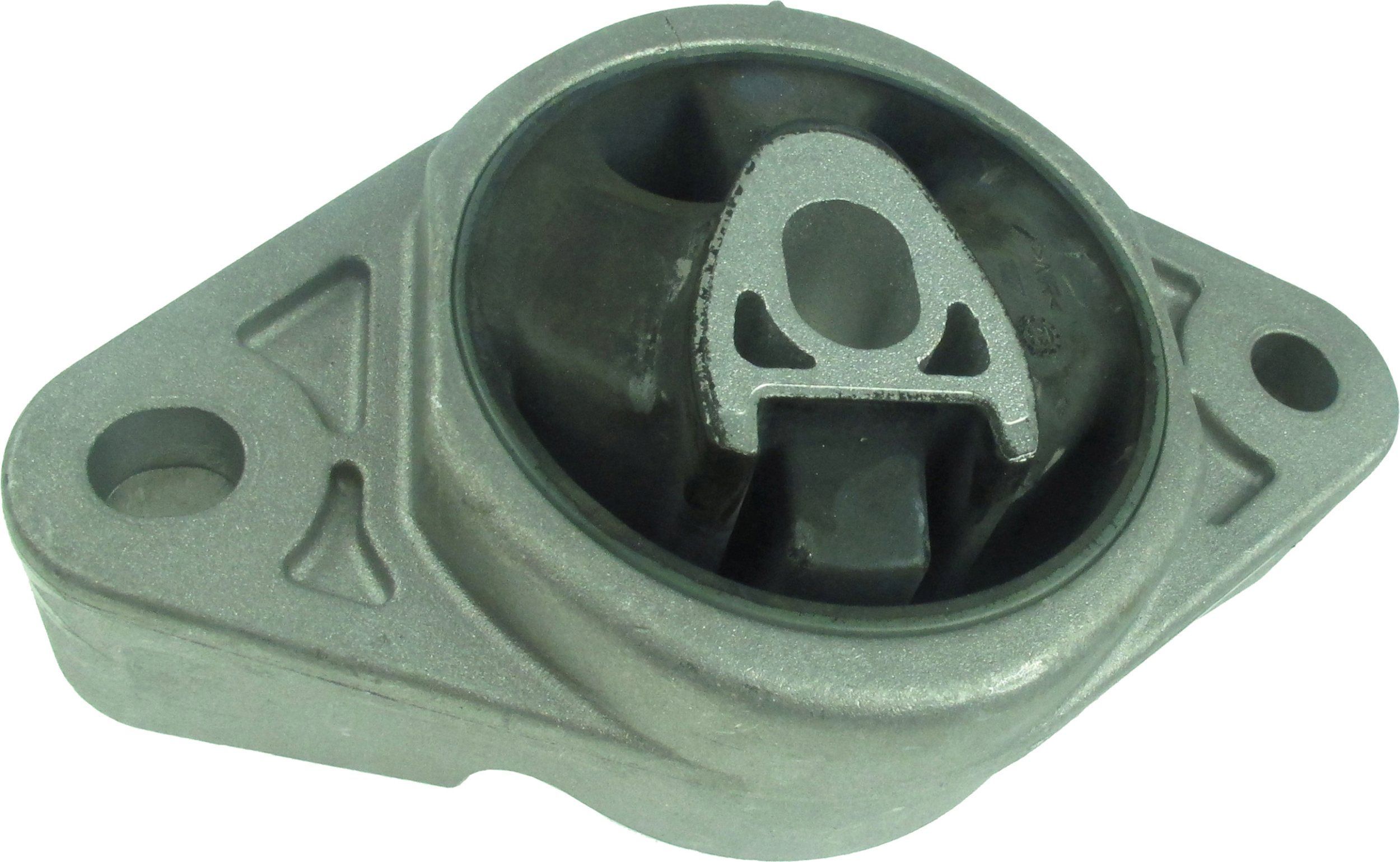 Variklio montavimas RAPRO R53165