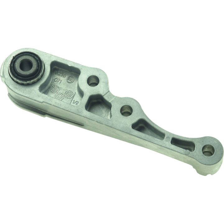 Variklio montavimas RAPRO R53244/O