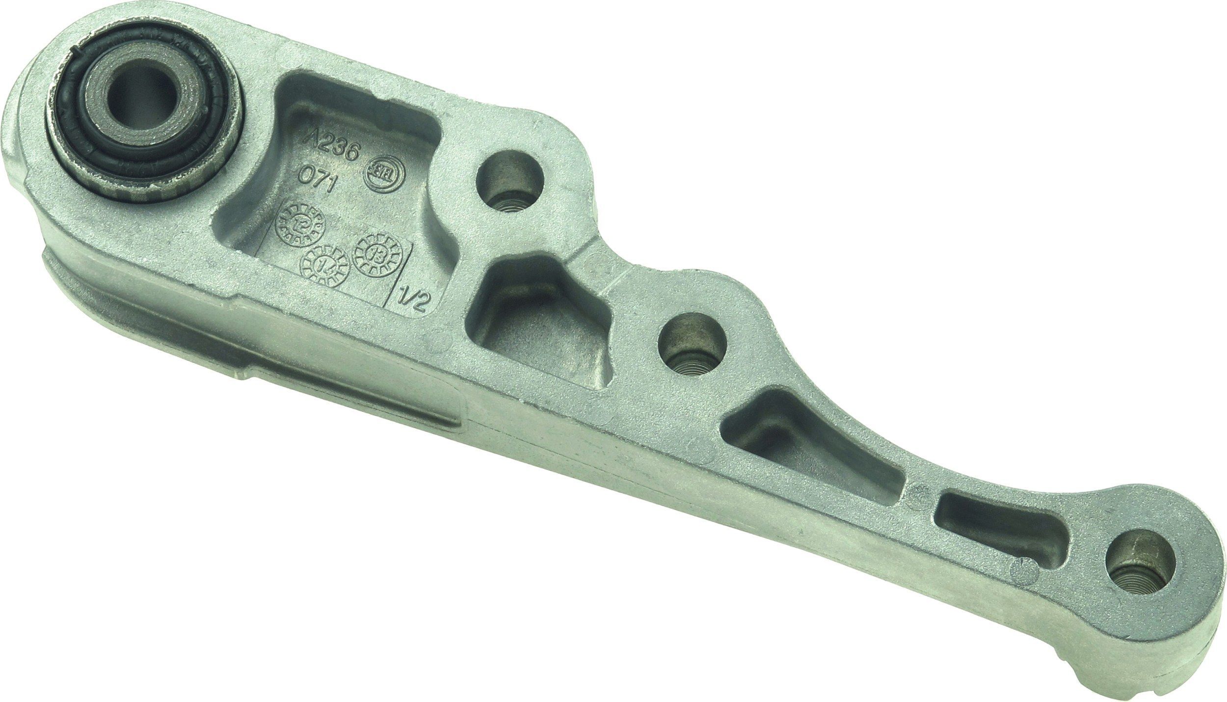 Variklio montavimas RAPRO R53244/O