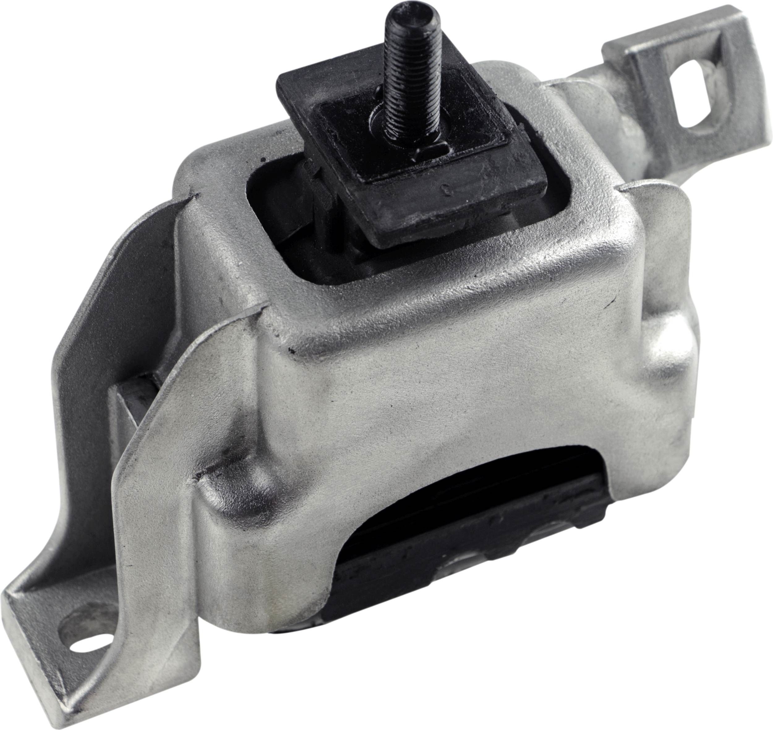 Variklio montavimas RAPRO R54178