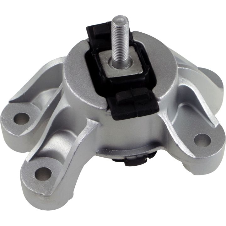 Variklio montavimas RAPRO R54243