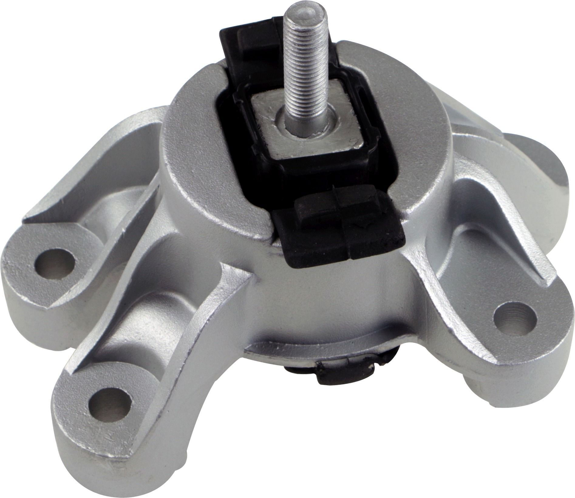 Variklio montavimas RAPRO R54243