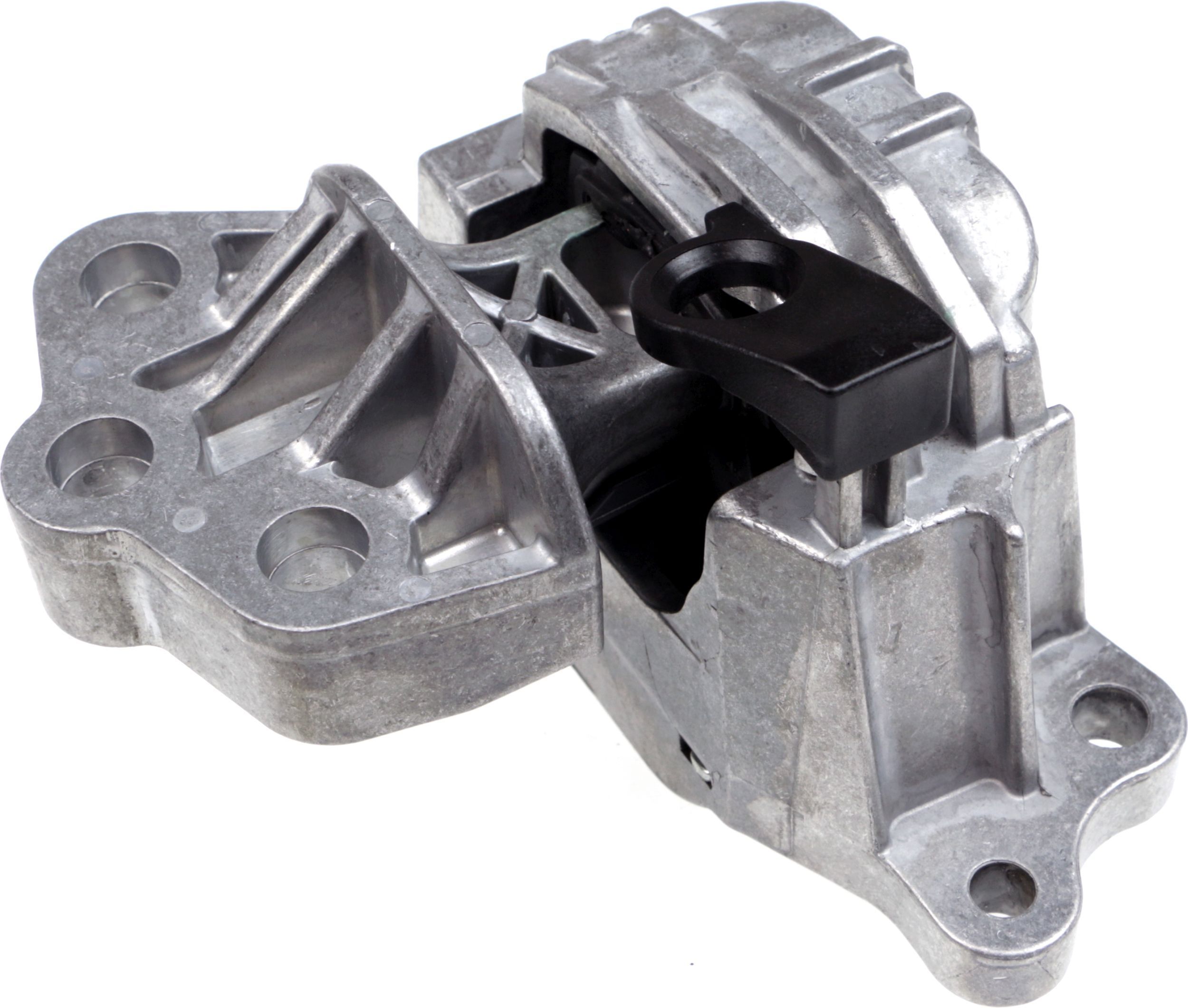 Variklio montavimas RAPRO R54352