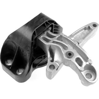 Variklio montavimas RAPRO R54451