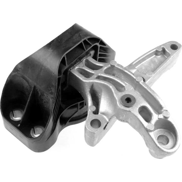 Variklio montavimas RAPRO R54451