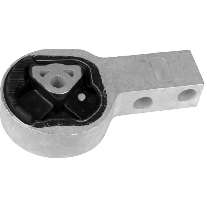 Variklio montavimas RAPRO R54493