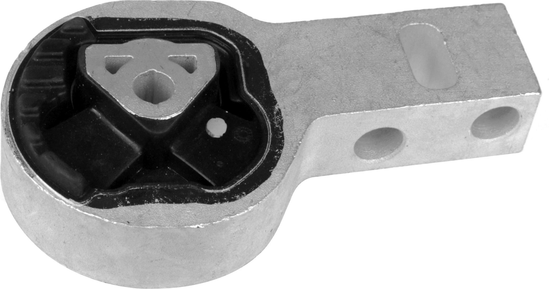 Variklio montavimas RAPRO R54493