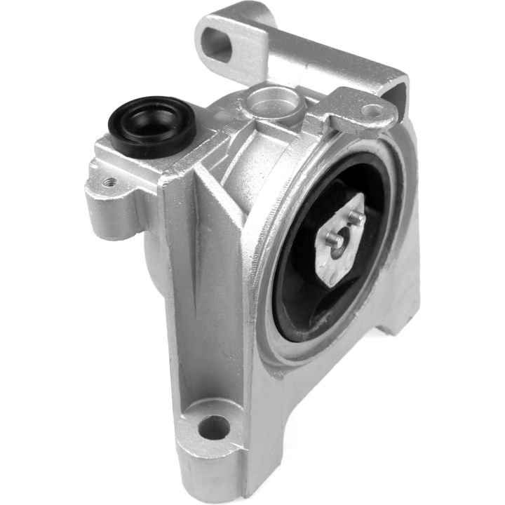 Variklio montavimas RAPRO R54512