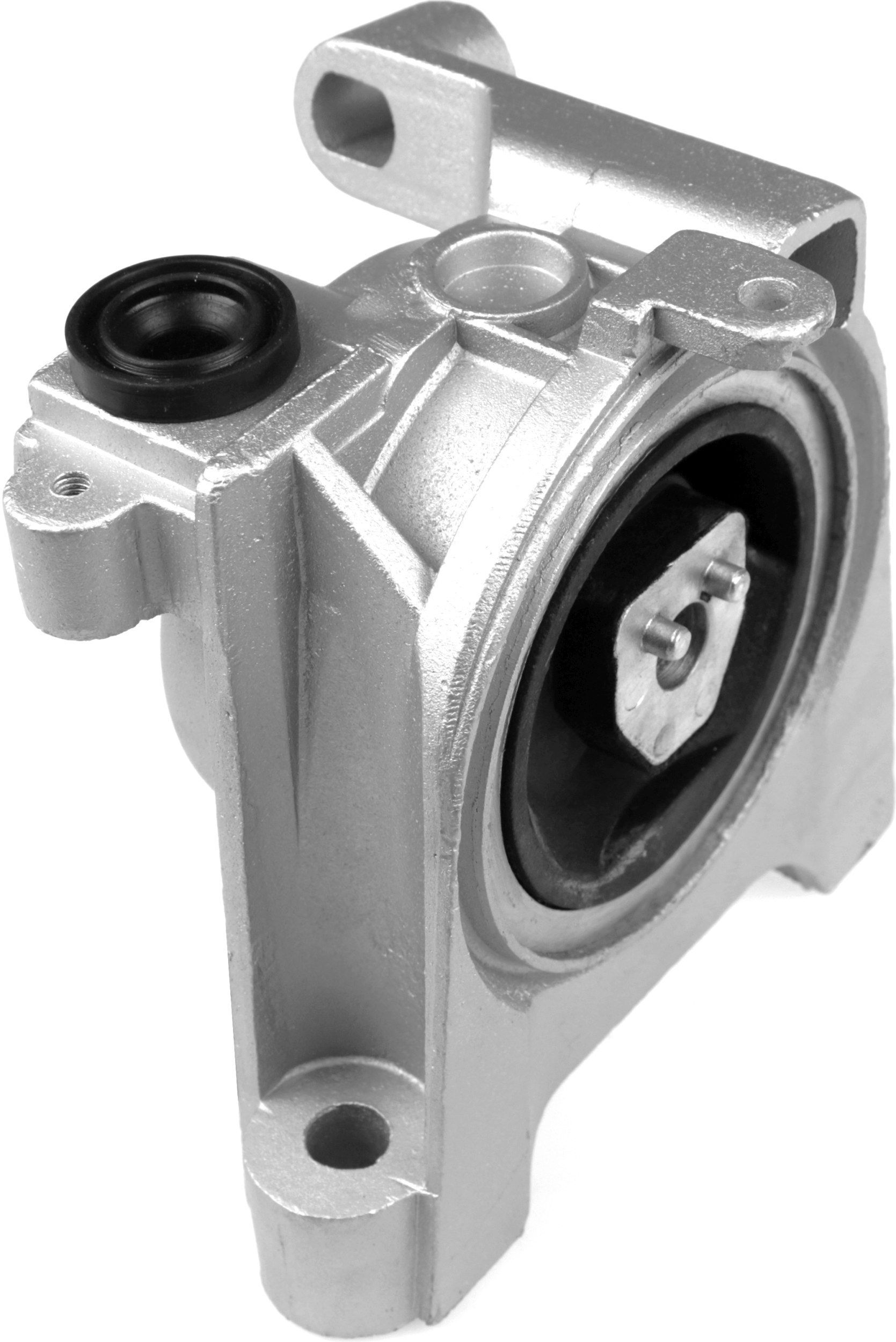 Variklio montavimas RAPRO R54512