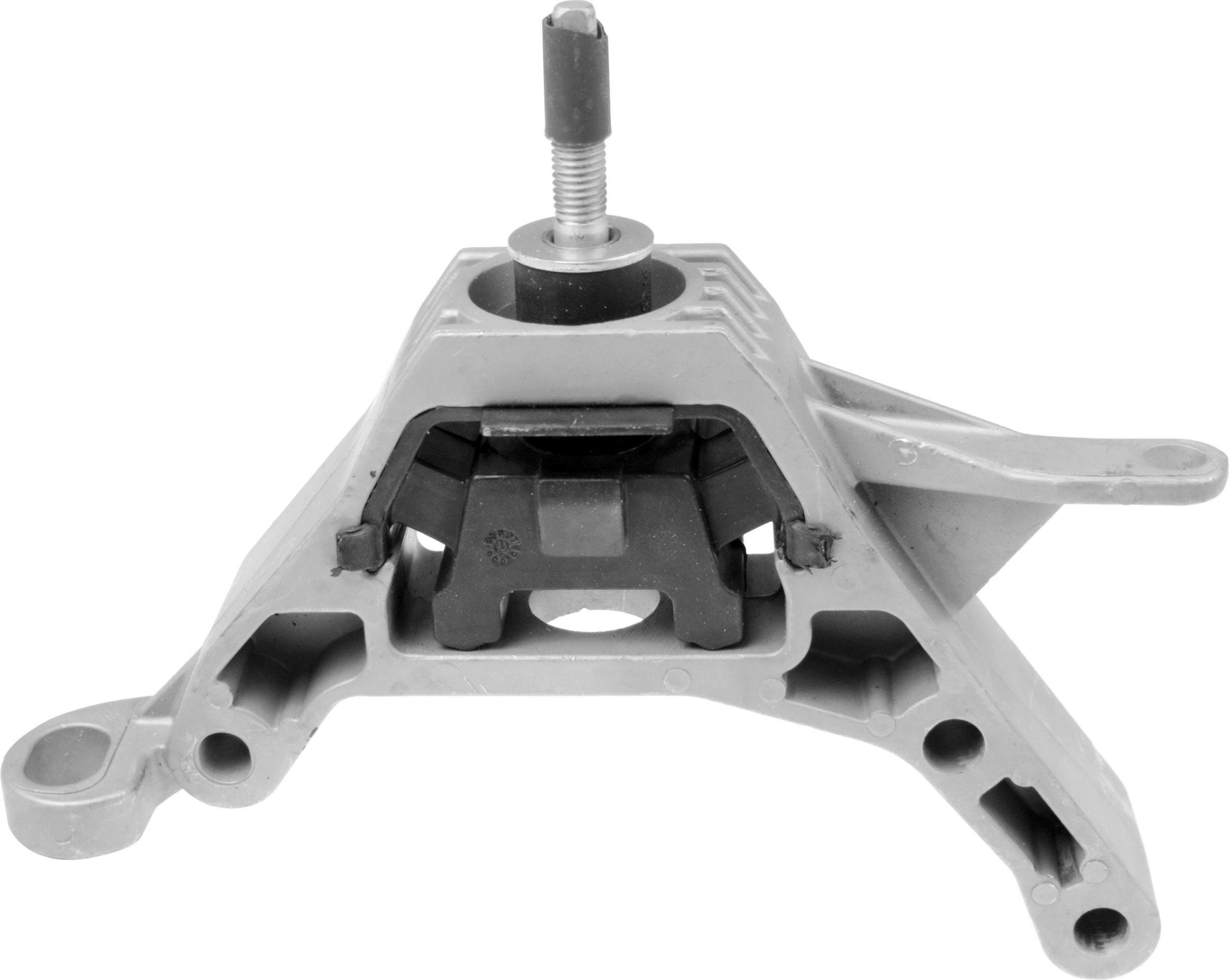 Variklio montavimas RAPRO R54666