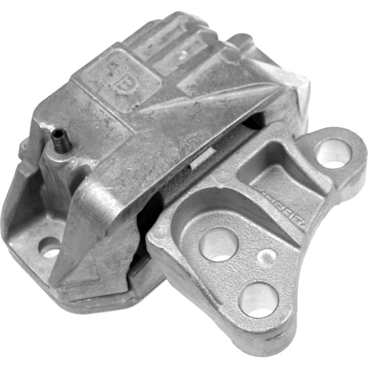 Variklio montavimas RAPRO R54679/O