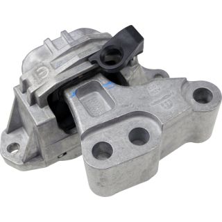 Variklio montavimas RAPRO R54680/O