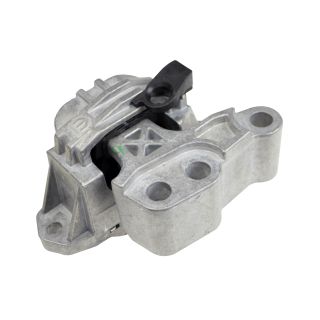 Variklio montavimas RAPRO R54681/O