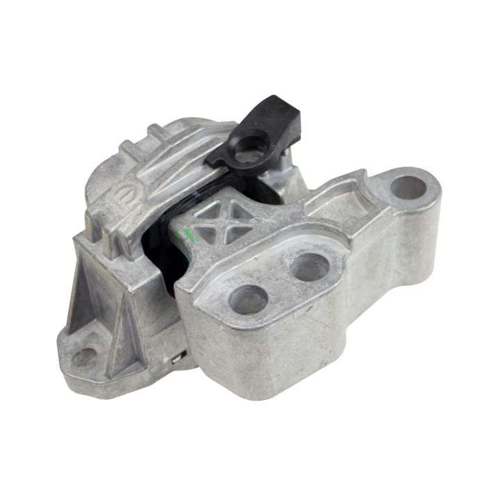 Variklio montavimas RAPRO R54681/O