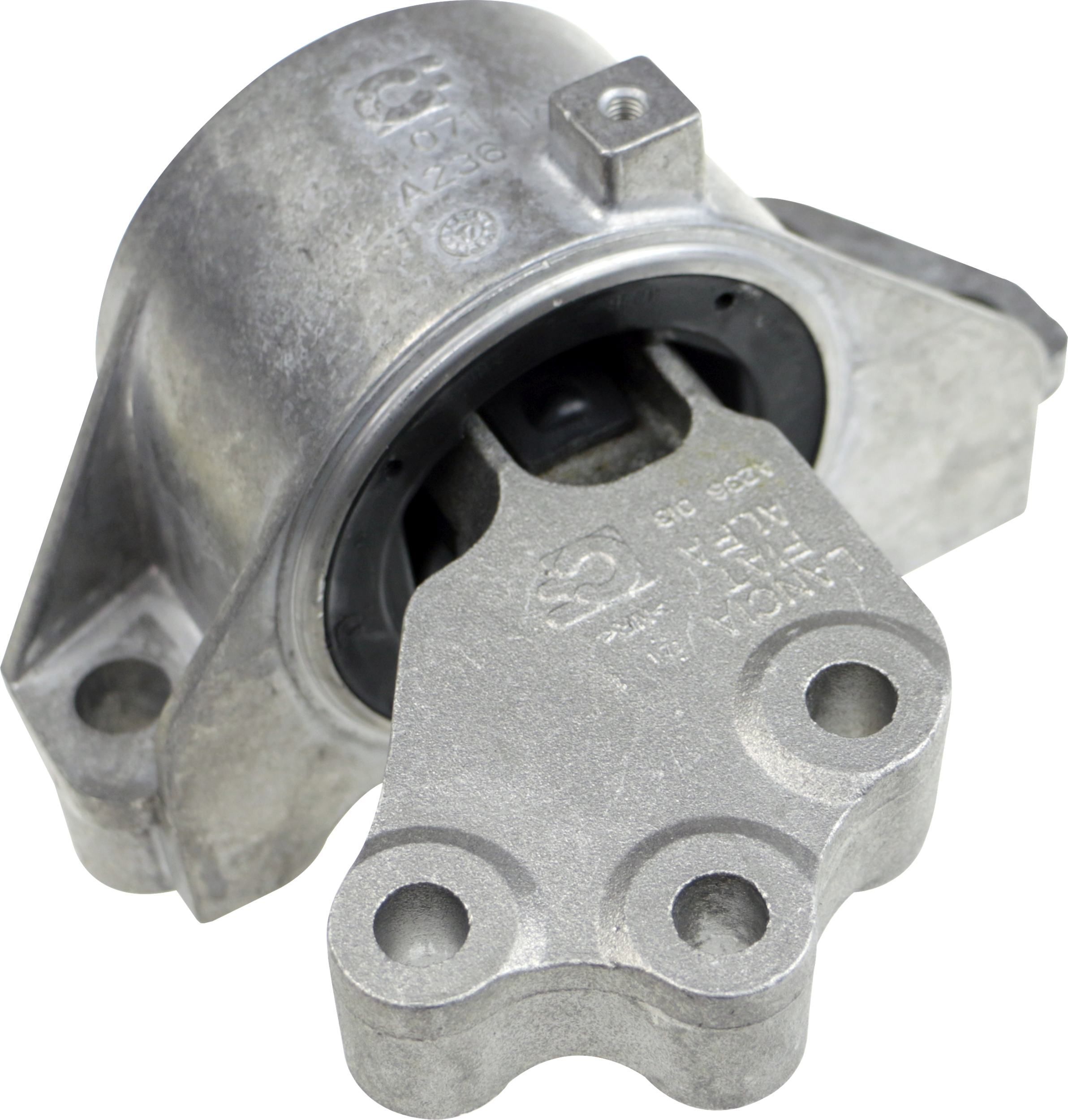 Variklio montavimas RAPRO R54691/O