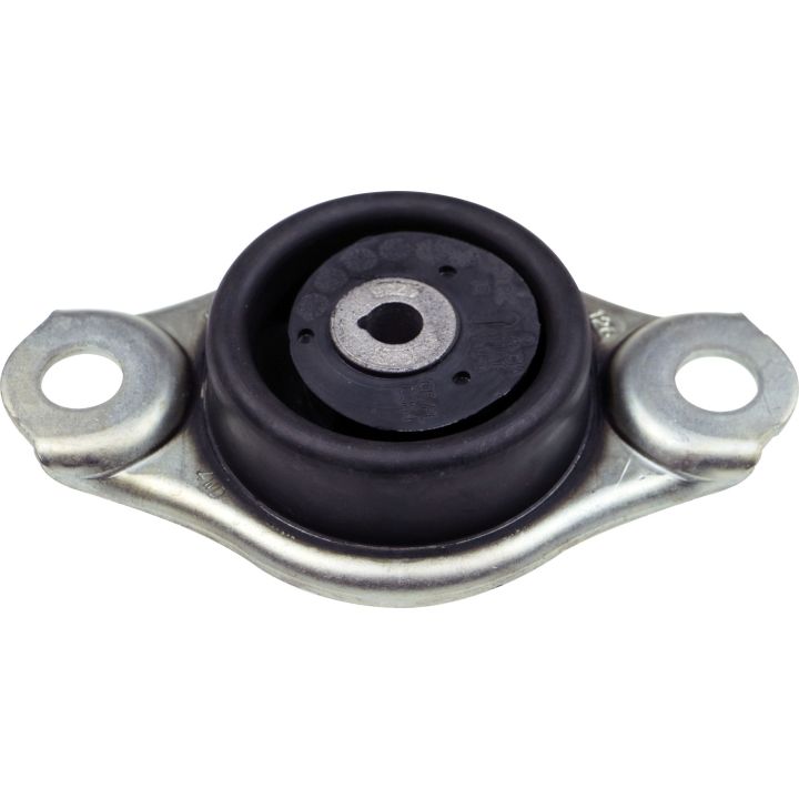 Variklio montavimas RAPRO R54711/O