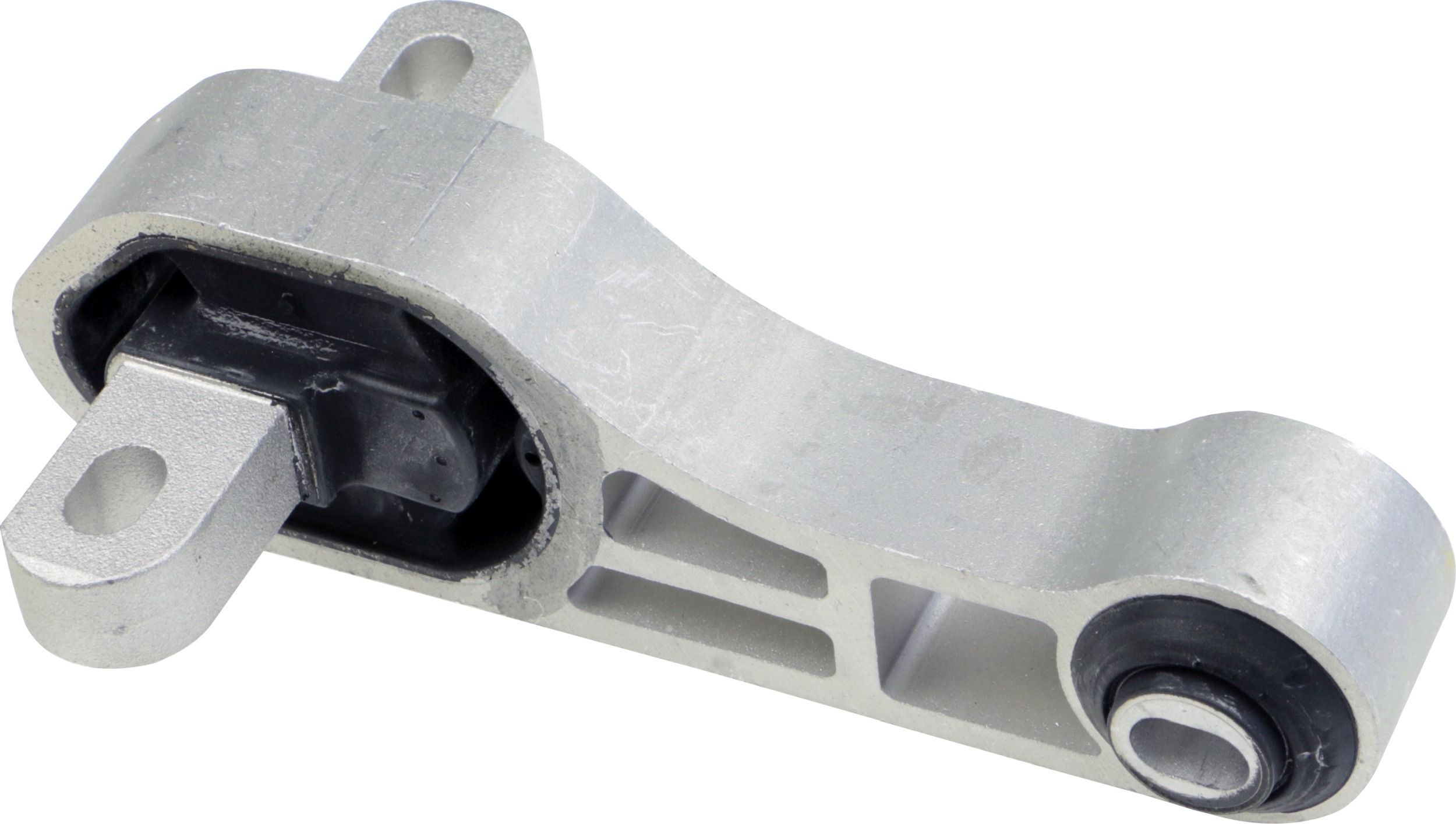 Variklio montavimas RAPRO R54818