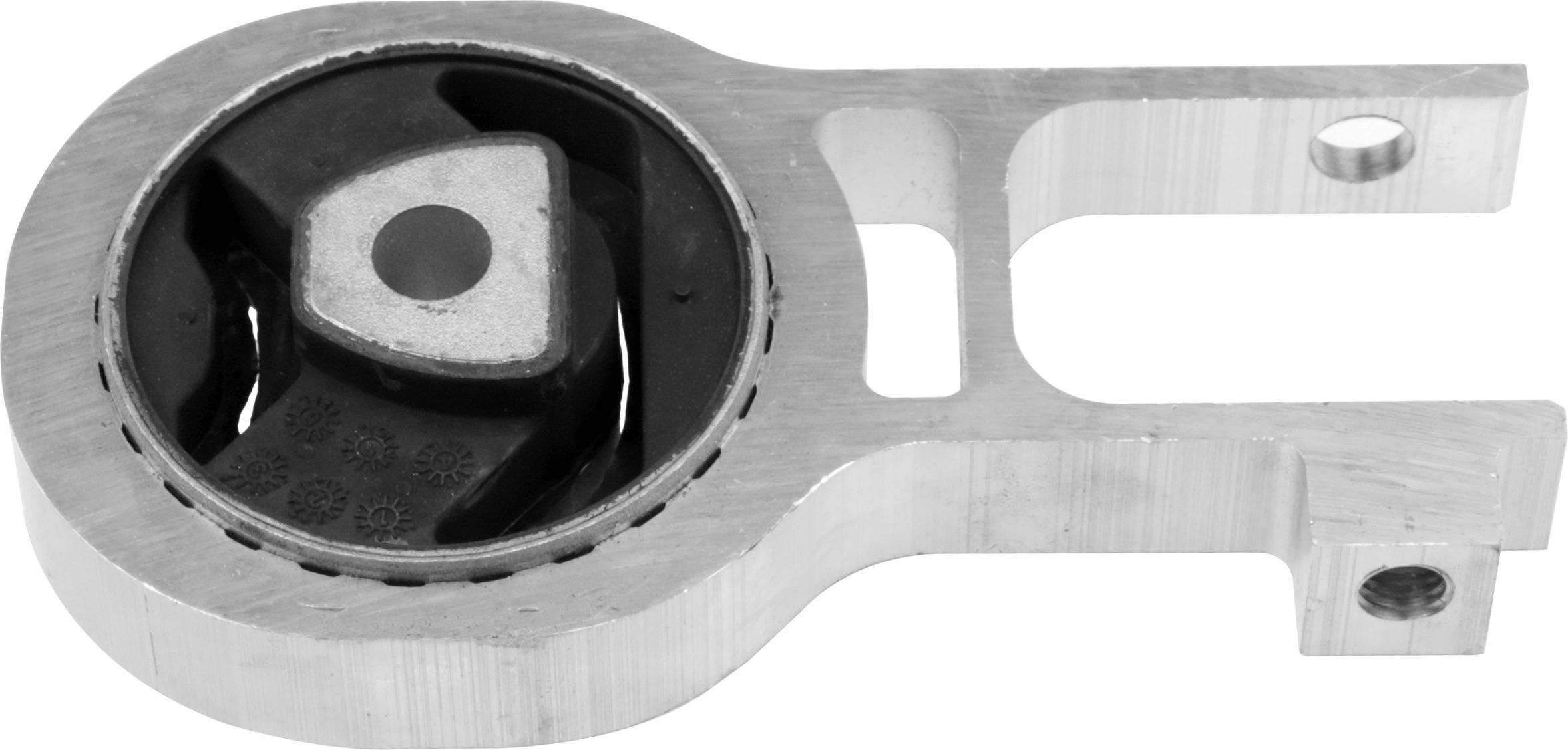 Variklio montavimas RAPRO R54819/O