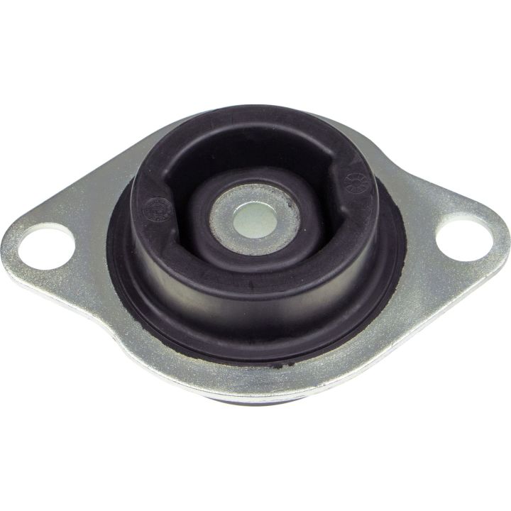 Variklio montavimas RAPRO R54894