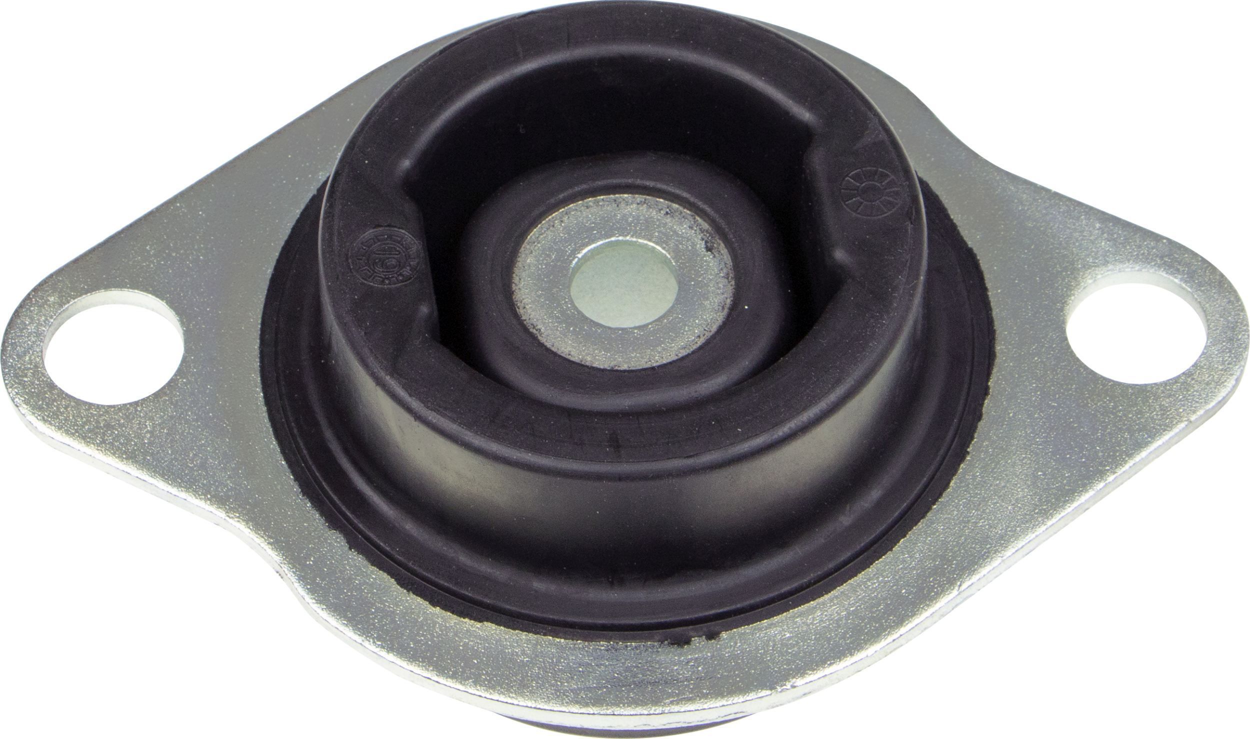 Variklio montavimas RAPRO R54894