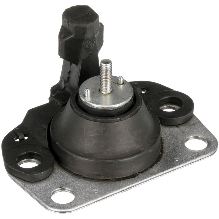 Variklio montavimas RAPRO R55139