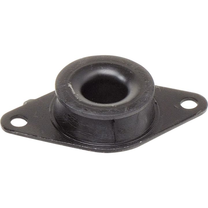 Variklio montavimas RAPRO R55144