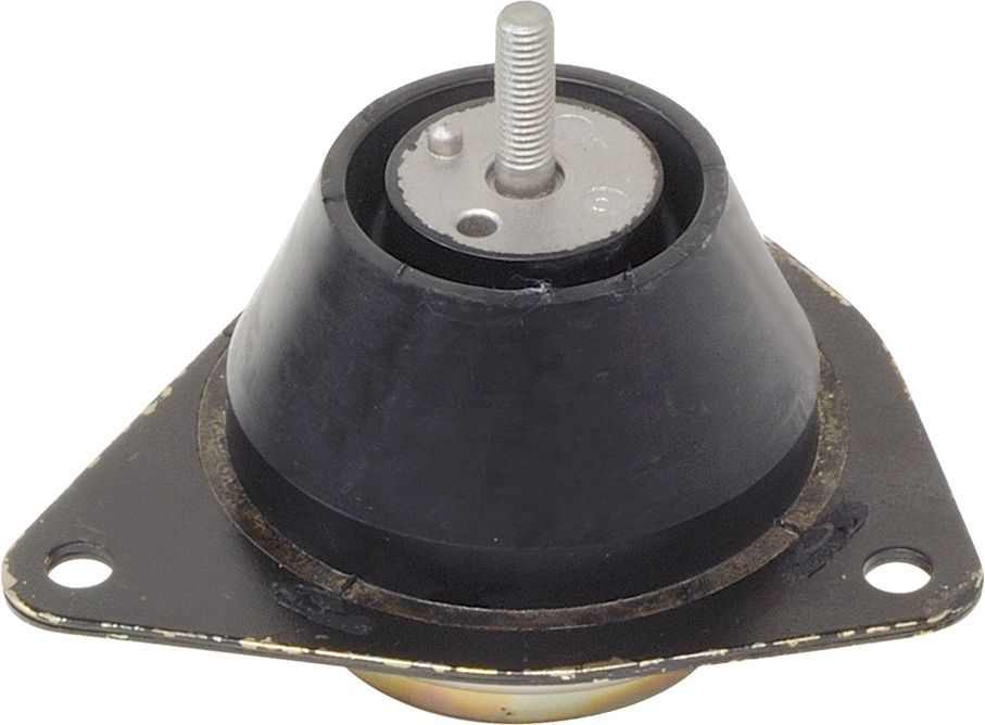 Variklio montavimas RAPRO R55145