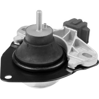 Variklio montavimas RAPRO R55204