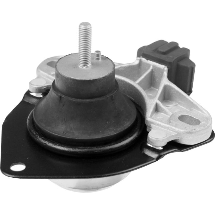 Variklio montavimas RAPRO R55204