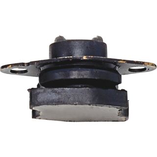 Variklio montavimas RAPRO R55216