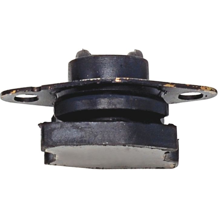 Variklio montavimas RAPRO R55216