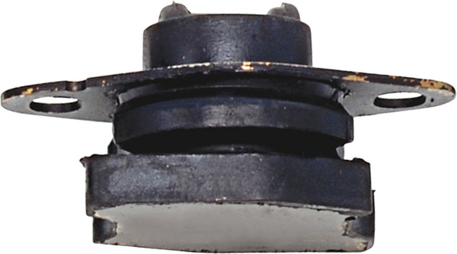 Variklio montavimas RAPRO R55216