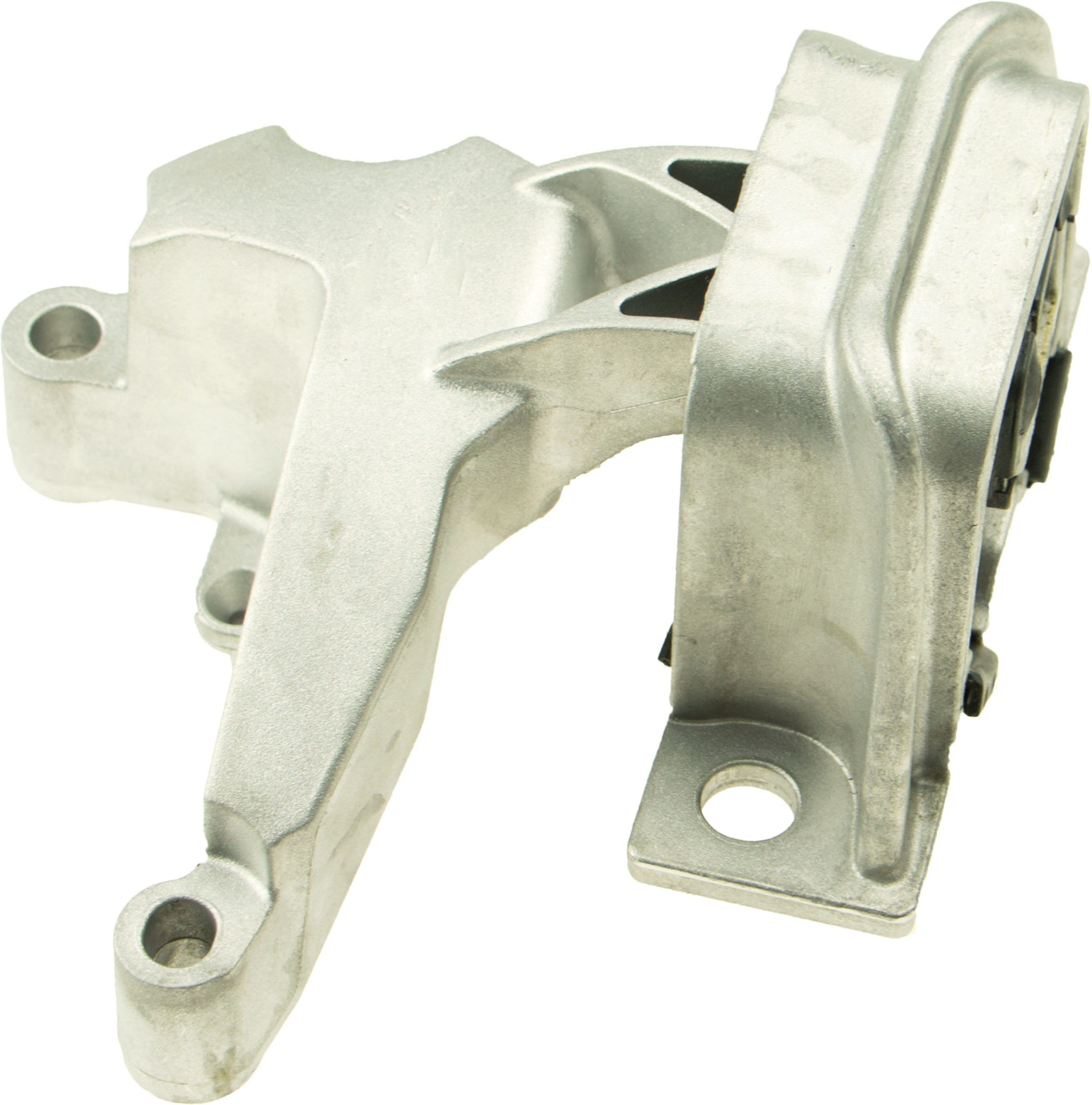 Variklio montavimas RAPRO R55296