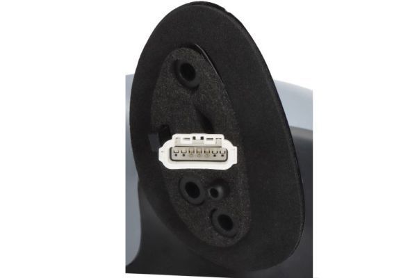 Išorinis veidrodėlis BLIC 5402-04-1111527P