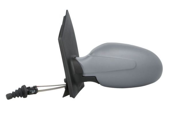 Išorinis veidrodėlis BLIC 5402-04-1111919P