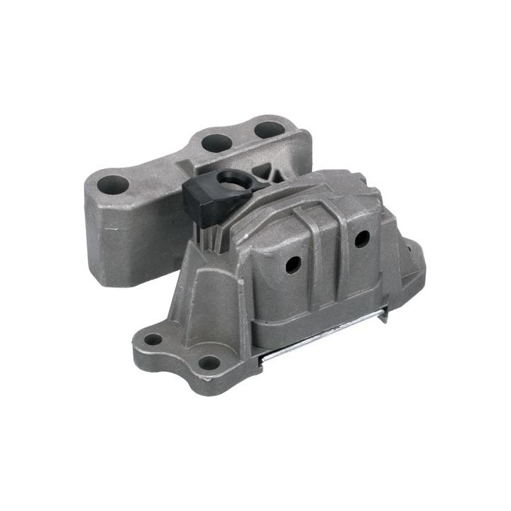 Variklio montavimas RAPRO R55447